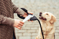 Person holding retractable leash with dog