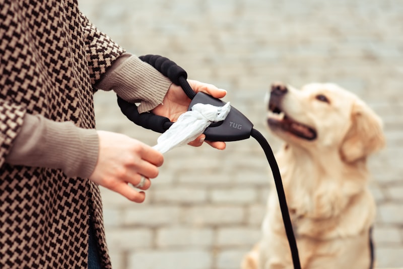 Person holding retractable leash with dog